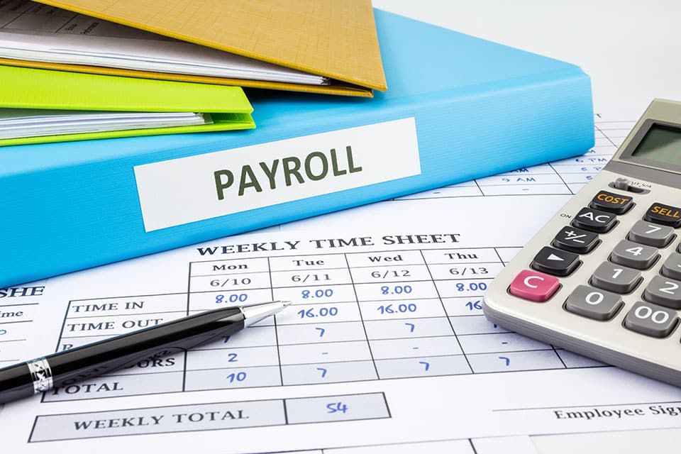 Small Business Online Payroll Stubs