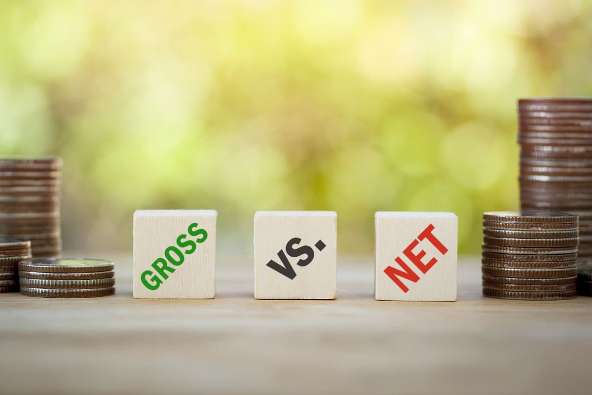 What Is The Difference Between Gross Pay And Net Pay 